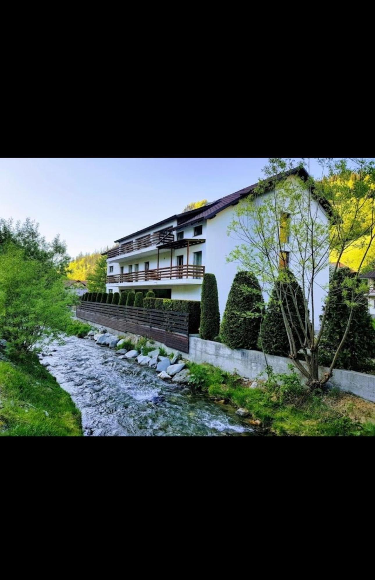House Of River Moeciu De Sus Eksteriør billede